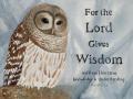 August-Wisdom-Owl-1
