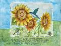 July-sunflowers-The-Lordd-bless-1