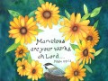 Marvelous are Your Works