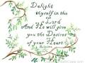 delight-thyself-in-the-lord-900